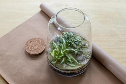 Szklany terrarium z sukulentami i mchami na papierze rzemieślniczym obok korka i rolki papieru.