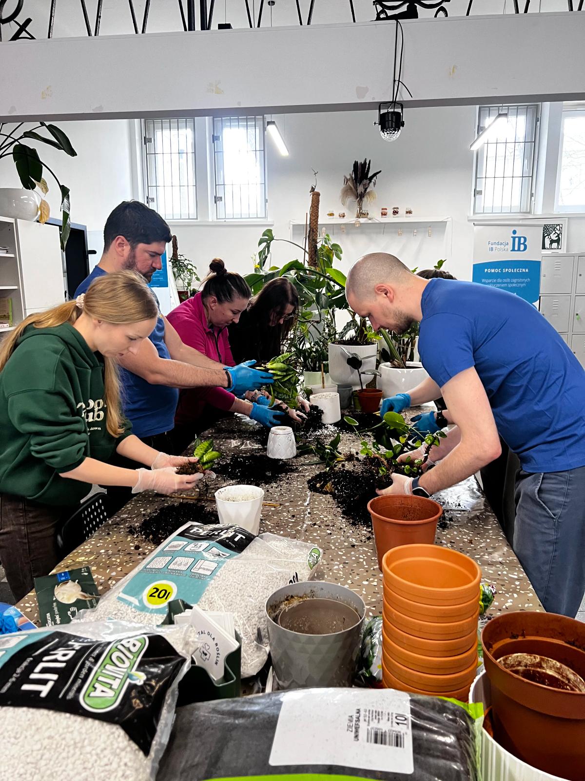 Grupa ludzi przesadza rośliny przy stole.