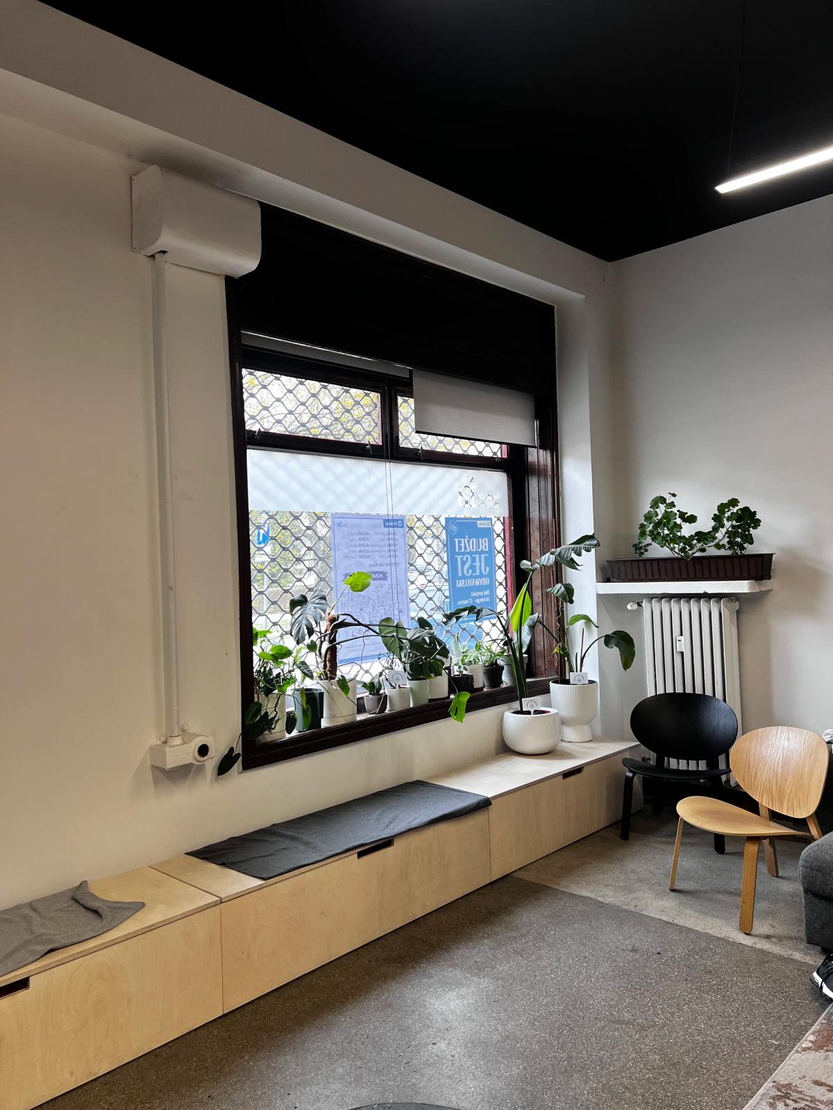 Nowoczesne wnętrze z dużym oknem, parapetową ławą, roślinami doniczkowymi i minimalistycznym wyposażeniem. Punkt odbioru szpitala dla roślin.