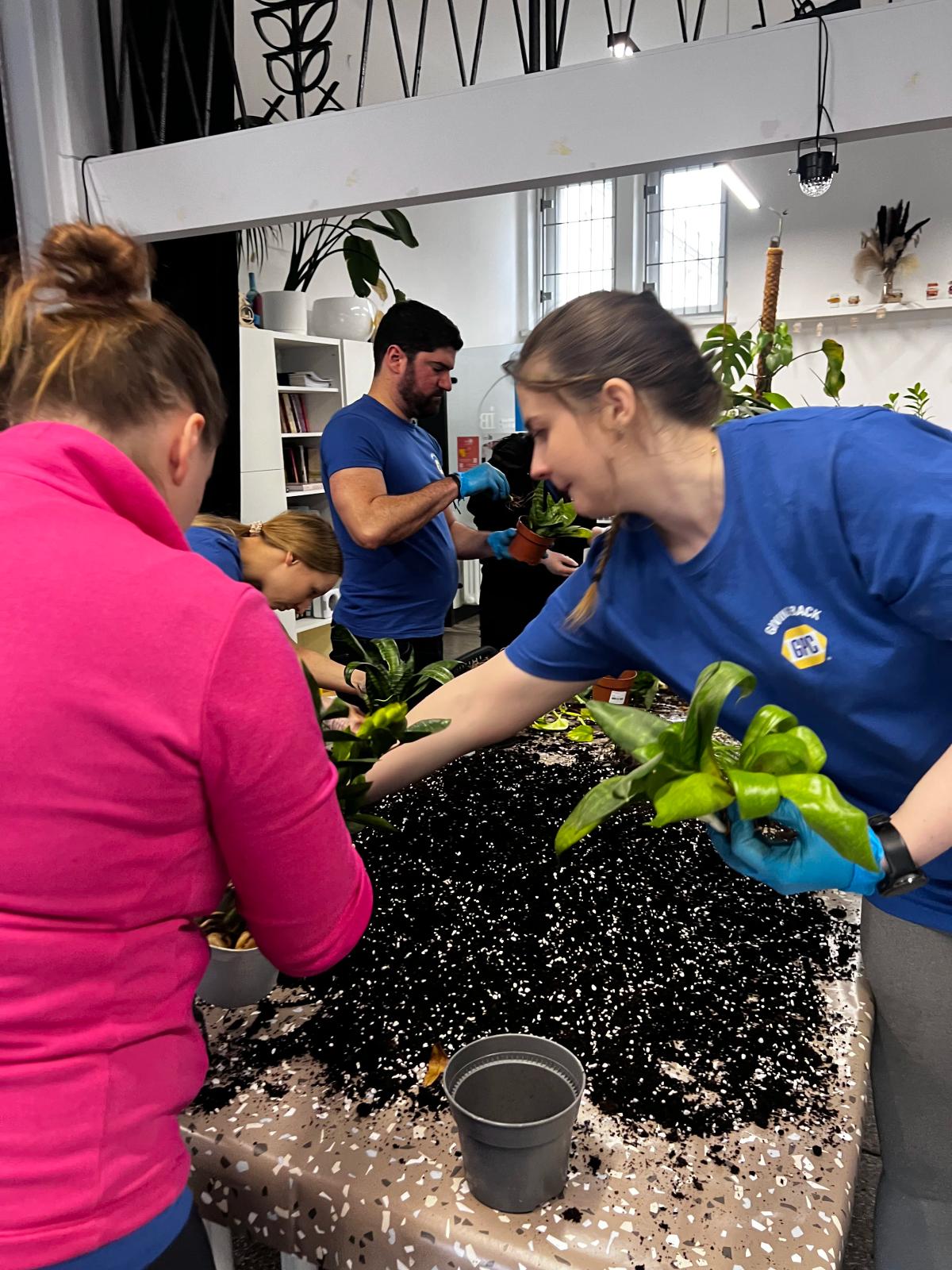 Grupa osób w niebieskich koszulkach i jednej w różowej uczy się sadzenia roślin w czarnej ziemi.