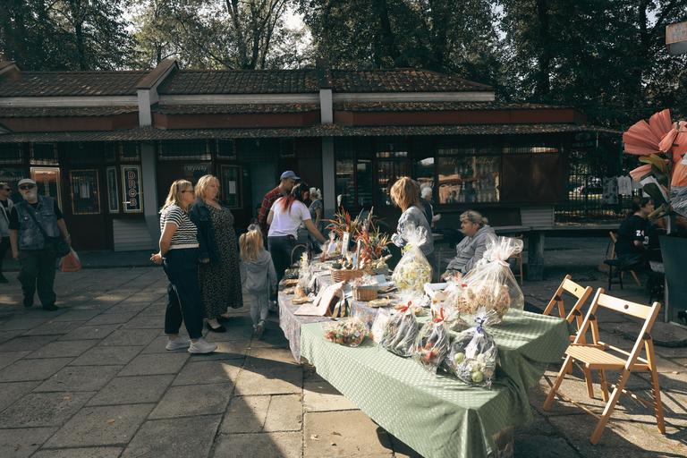 Spotkanie miłośników roślin na targu przy Szpitalu dla Roślin, gdzie królują naturalne piękno i dbałość o zieleń.