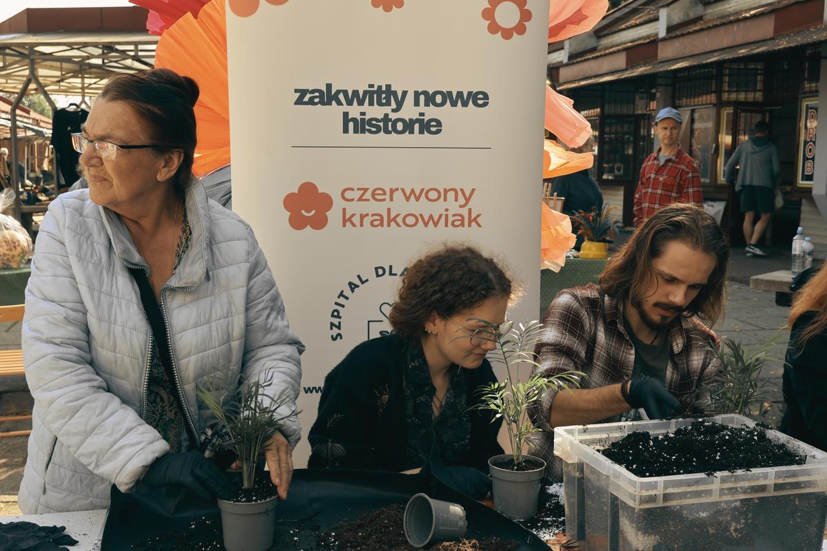 Na placu targowym członkowie Fundacji Czerwony Krakowiak prowadzą warsztaty ogrodnicze, sadząc rośliny w doniczkach podczas jesiennych działań edukacyjnych.