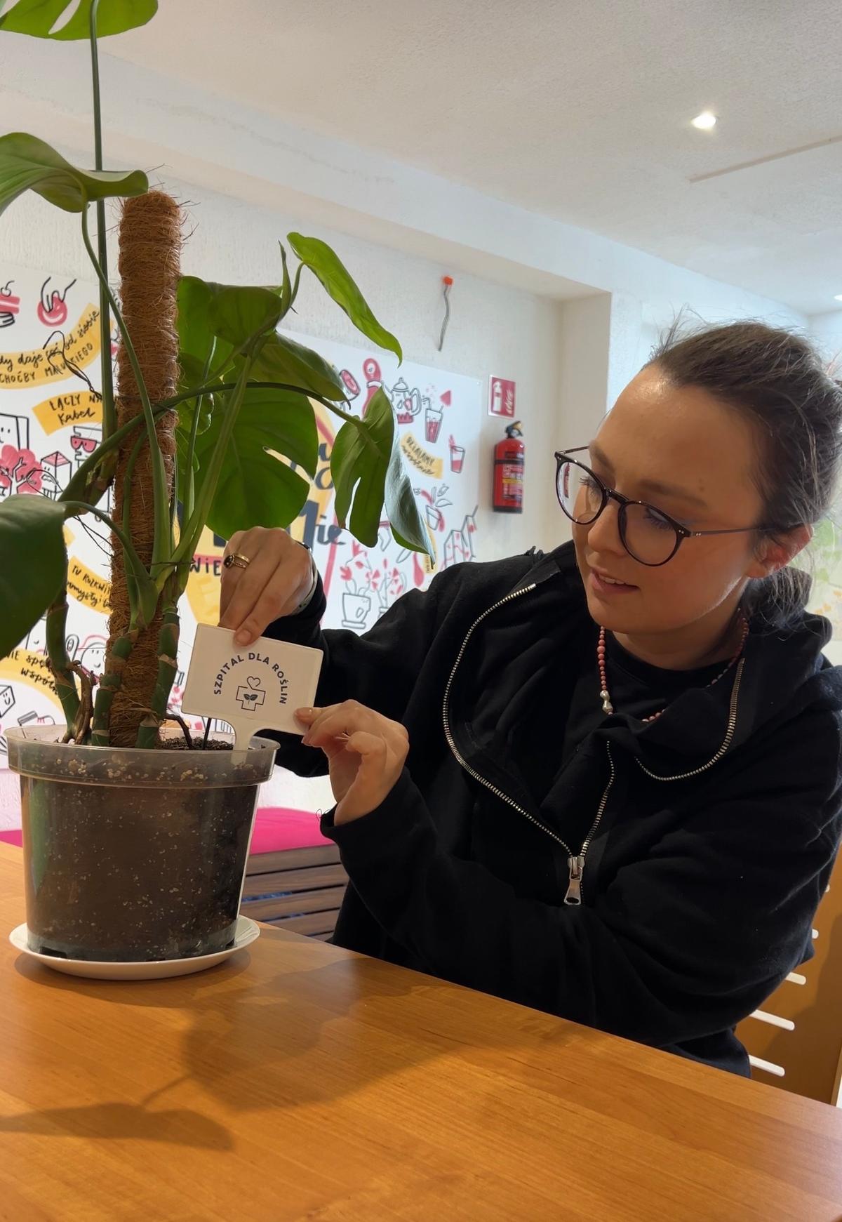 Kobieta w okularach i czarnej kurtce przywiązuje kartkę do rośliny doniczkowej w jasnym biurze.
