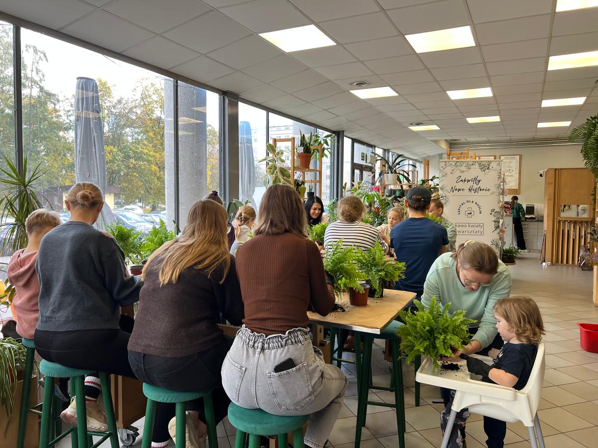 W nowoczesnej sali z dużymi oknami grupa ludzi uczestniczy w warsztatach florystycznych wśród roślin doniczkowych.