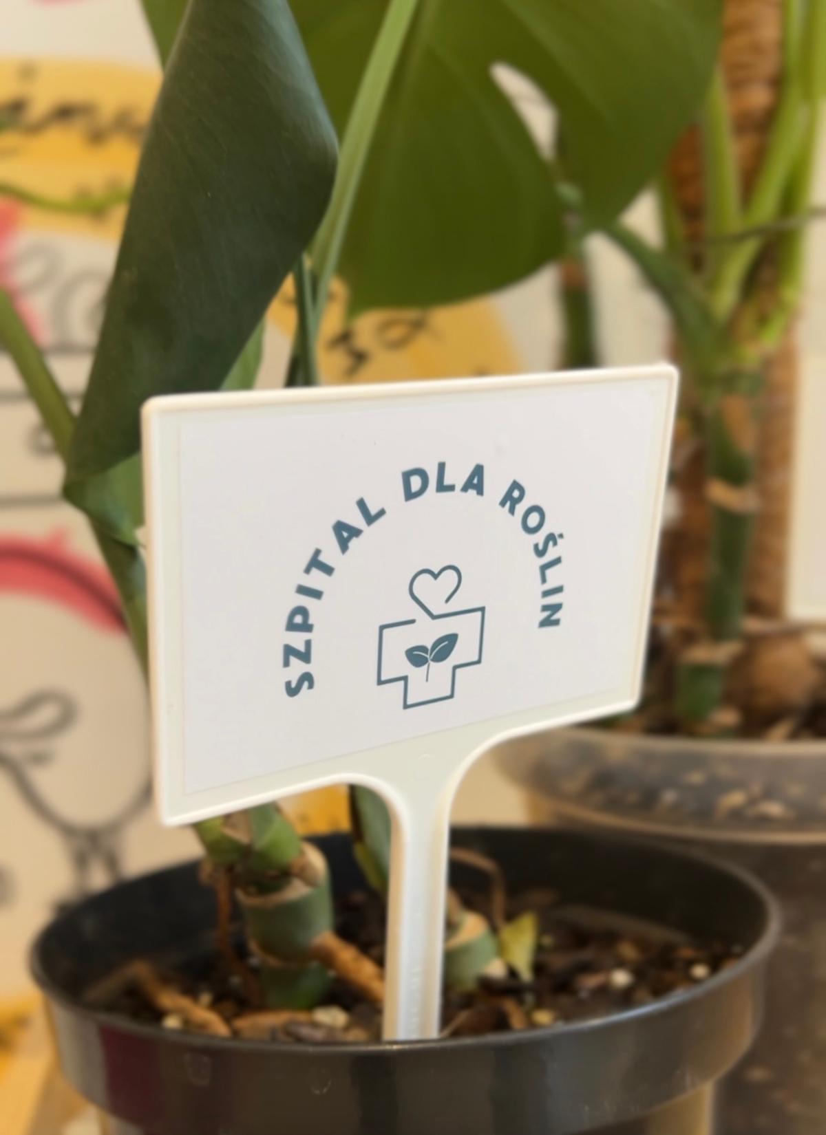 Biała metryczka z napisem "Szpital dla roślin" i logotypem wbita w doniczkę z zieloną rośliną.