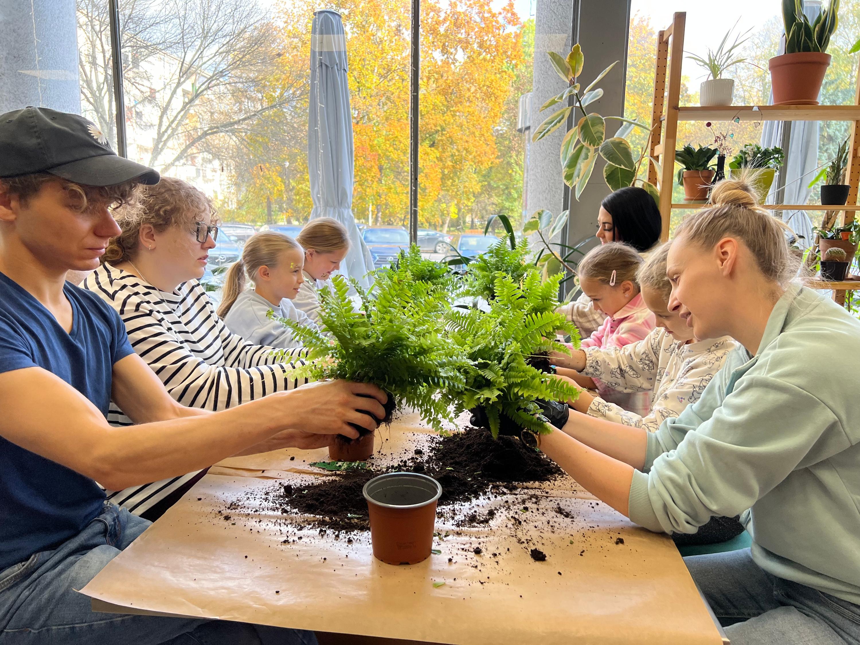 Grupa dzieci i dorosłych wspólnie sadzi paproć w doniczkę z ziemią podczas warsztatów ogrodniczych w słonecznym pomieszczeniu.