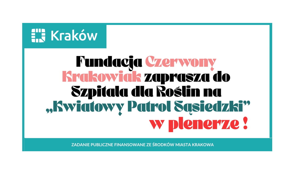 Fundacja Czerwony Krakowiak zaprasza do Szpitala dla Roślin na Kwiatowy Patrol Sąsiedzki w plenerze, finansowane przez miasto Kraków.