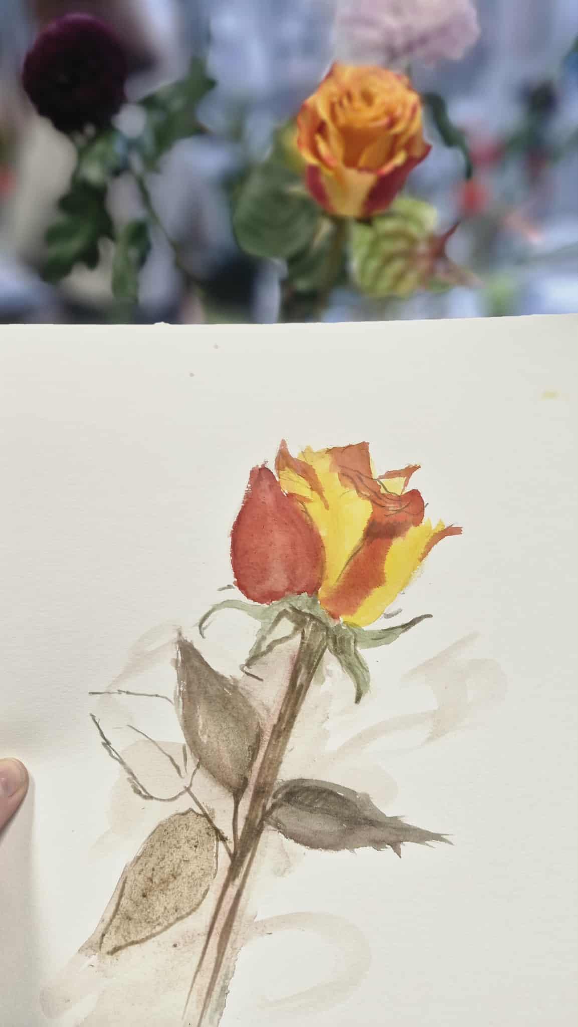 Rysunek żółto-czerwonej róży z zielonymi liśćmi, inspirowany fotografią kwiatu w tle.