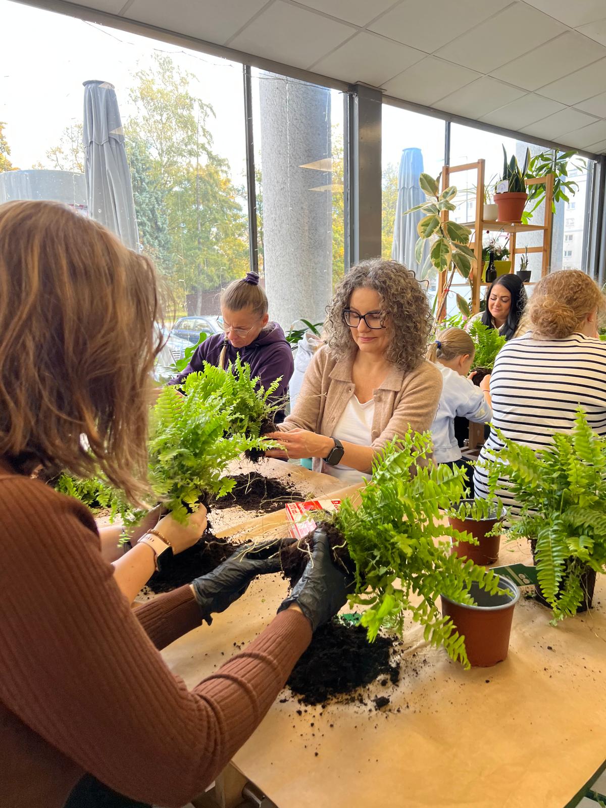 Grupa kobiet uczestniczy w warsztatach ogrodniczych, sadzając rośliny w doniczkach przy dużych oknach z widokiem na miasto.