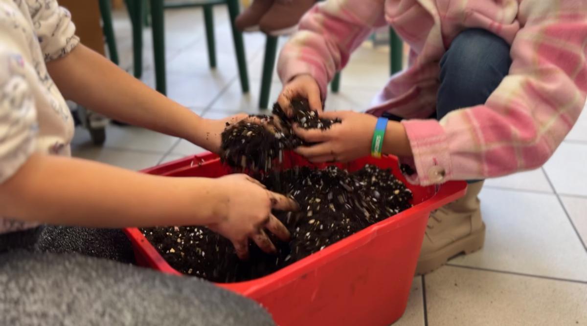 Dzieci bawią się ziemią i piaskiem w czerwonym pojemniku podczas zajęć edukacyjnych w klasie.