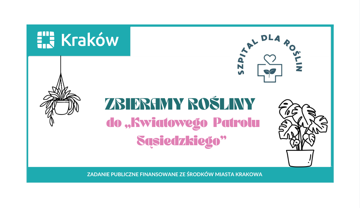Plakat zachęcający mieszkańców Krakowa do zbiórki roślin dla Kwiatowego Patrolu Sąsiedzkiego, finansowany ze środków miasta.